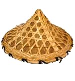 Straw Rickshaw Hat