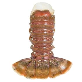 8-10 oz West Australian Lobster Tails, 6 Tails
