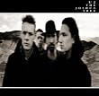 The Joshua Tree