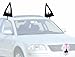 Mystic Industries Cat Vehicle Costume