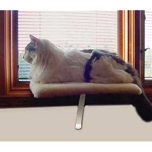 Window Perches