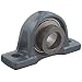 FYH NAP208-24 Pillow Block Mounted Bearing, 2 Bolt, 1-1/2" Inside Diameter, Set screw Lock, Cast Iron, Inch