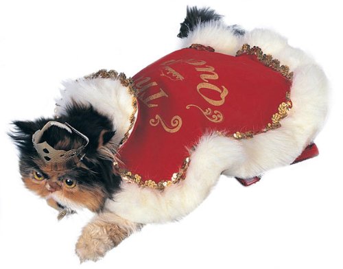 Pet Costume - Queen Dog or Cat Costume Medium Dog
