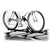 Thule 599XTR Big Mouth Upright Rooftop Bicycle Carrier