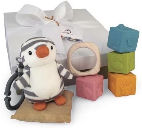 Baby Gift Basket: Rubber Blocks, Wooden Teether, JellyCat Toy