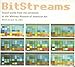 Bitstreams : Sound Works From the Exhibition At the Whitney Museum of American Art