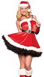 Be Wicked Costumes 4pc SEXY SANTA
