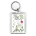 Opium Poppy and other plants (w/c) by Elizabeth Rice - Acrylic Keyring - Art247 - Standard Size