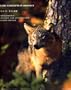 Basic Concepts in Biology: From Biology : Concepts and Applications, Second Edition