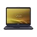 Sony VAIO VGN-NS135E/L 15.4-Inch Laptop (2.0 GHz Intel Dual-Core T3200 Processor, 3 GB RAM, 250 GB Hard Drive, Vista Premium) Blue