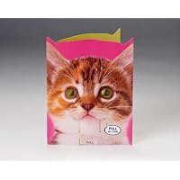 Talking Heads Festive Kitty Birthday Card