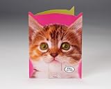 Talking Heads Festive Kitty Birthday Card