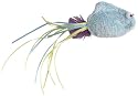 West Paw Design Rainbow Catnip-Filled Fish Cat Toy with Bell, Blue