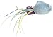 West Paw Design Rainbow Catnip-Filled Fish Cat Toy with Bell, Blue