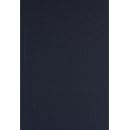 The Letters of Ralph Waldo Emerson Vol 8