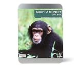 Gift Republic , Adopt A Monkey Gift Box