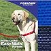 Easy Walk Harness - Large, Royal Blue