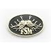 Oval Flying Spaghetti Monster Lapel Pin - gold and black finish