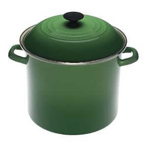  Fennel Green Enameled Steel Stock Pot with Lid by Le Creuset