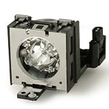 Lighting Technologies International LTIP/AN-B10LP