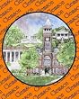 Clemson University - Collegiate Sculptured Night Light