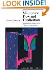 Multiphase Flow and Fluidization: Continuum and Kinetic Theory Descriptions