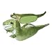 T-Rex Slippers, Large