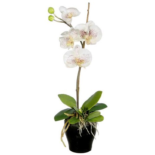 Deko-Woerner Orchidee im Topf 45cm weiß