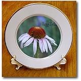 Best Price Purple Cone Flower Happy Birthday - 8 Inch Porcelain Plate