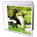   - Dogs Sheltie/Shetland Sheepdog - Sheltie - Greeting Cards-12 Greeting Cards with envelopes