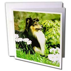 image link - - B000VG762I
