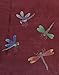 Hand-Painted 100% Silk Scarf - Dragonfly on Various Background Colours