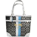 AUTHENTIC COACH HERITAGE SIGNATURE STRIPE TOTE 13196 (BW/White)