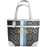 AUTHENTIC COACH HERITAGE SIGNATURE STRIPE TOTE 13196 (BW/White)