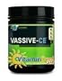 Vassive-CE, No-Load Creatine Ester, Blue Raspberry, 15 Packets, From Optimum