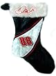 Dale Earnhardt Jr AMP Nascar Himo Plush Stocking