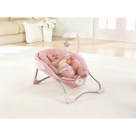 Fisher-Price Baby Papasan Infant Seat