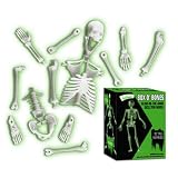Eigenschaften MIK funshopping / Skelett-Modell BOX O BONES Leuchtet im Dunkeln!