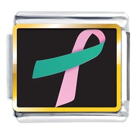 Pink And Teal Ribbon Awareness Italian Charms Bracelet Link