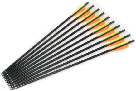 Raging River 2219-20 Target Shooting Arrow