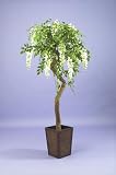 Artificial Wisteria Tree - 150cm - Twisted Wood Stem