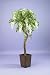 Artificial Wisteria Tree - 150cm - Twisted Wood Stem