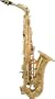 Amati 33 Series Student Alto Saxophone