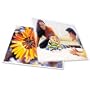 GBC HeatSeal LongLife Premium Laminating Pouches, 5 mm, 9 x 11.5 Inches, 10 per Box (3747324)