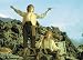 Lord of The Rings Merry Pippin Smoking Postcard C-0348