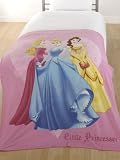 Kitchen & Housewares : Disney Princess Fleece Blanket / Throw