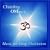 Chanting Om Vol. II - Splendor of Yoga [CD on Demand]