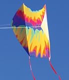 Mini Sled Single Line Kite Tie Dye