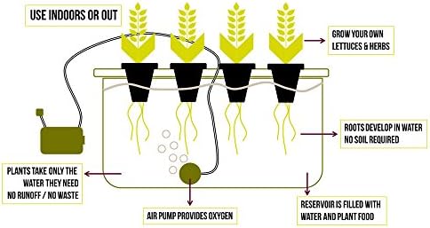 10-Socket Deep Water Culture (DWC) Hydroponics Kit (Perfect for Seed Starting or Beginners)
