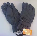 Thinsulate Thermal Insulation Adult Gloves Size Large/X-Large
